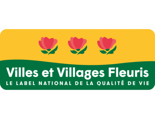 Village fleuri