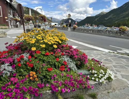 Fleurissement Montgenèvre