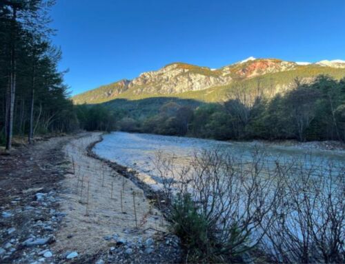 Berges de la Clarée