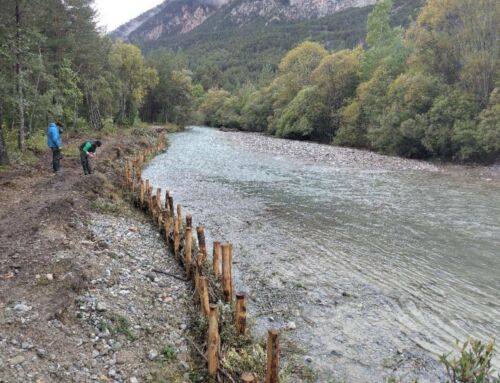 Restauration des berges de la Clarée