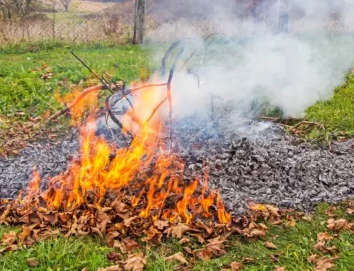Emploi du feu Passage en période orange