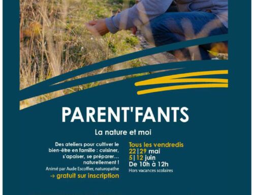 Animations CSI Familles-Adultes Avril Mai 2026