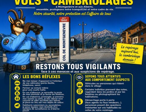 🚨 VIGILANCE – Vols et cambriolages 🚨