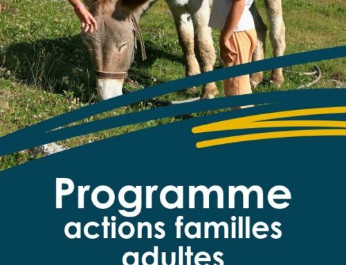 Programme actions familles adultes Juillet Aout 2026